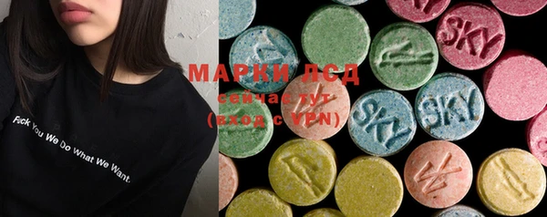 твердый Мегион